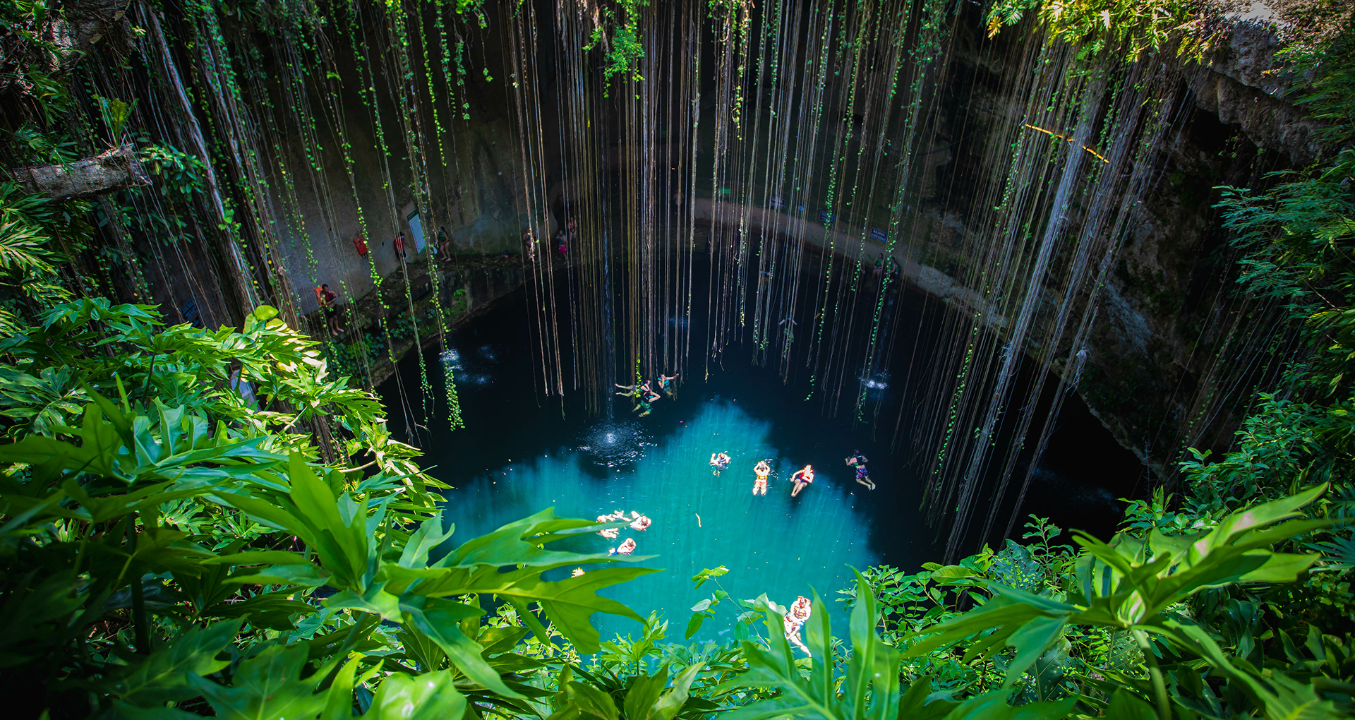Cenote en la Península de Yucatán con aguas cristalinas y raíces colgantes.