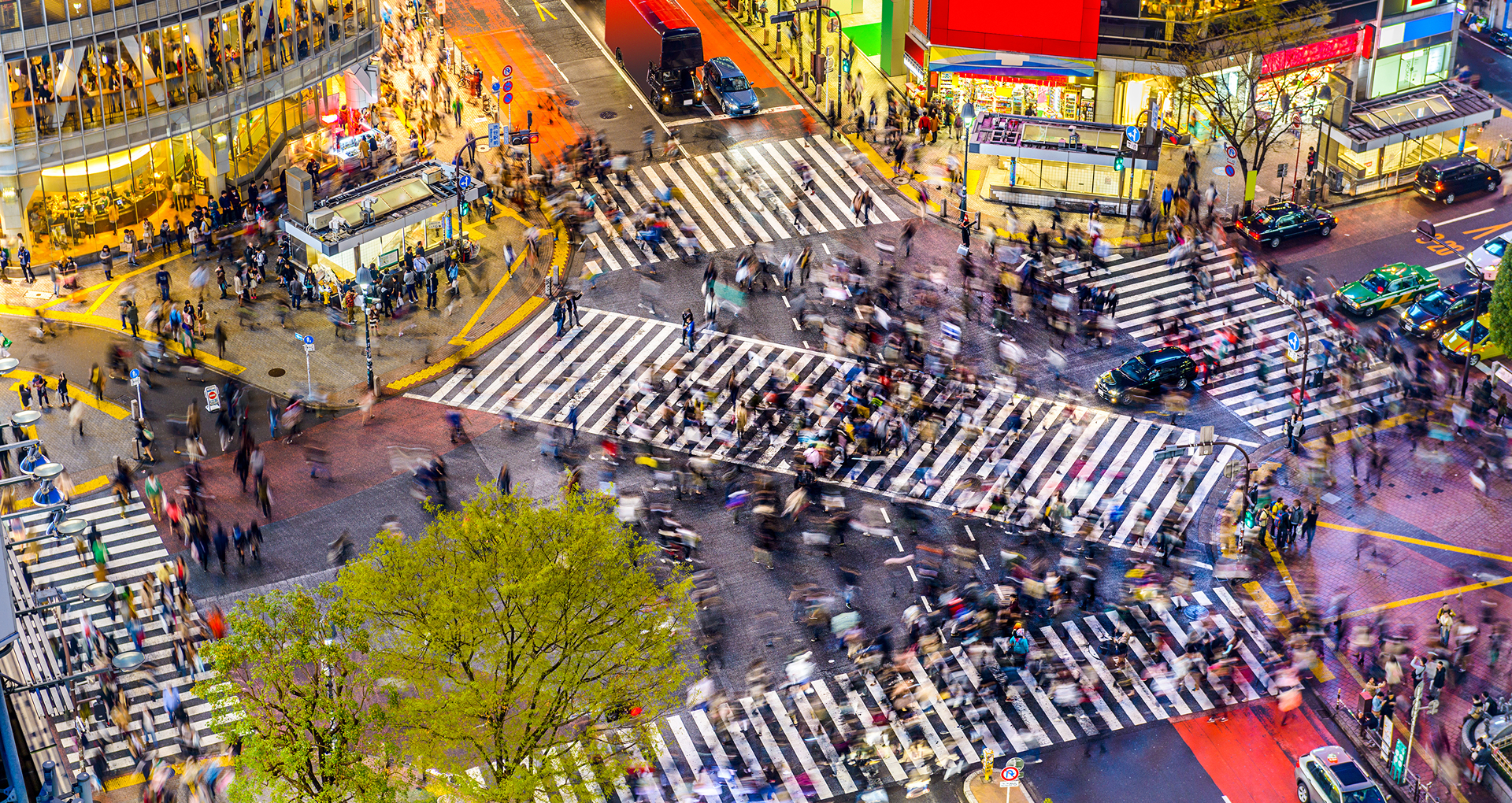 El Cruce de Shibuya en Tokio. El Cruce de Shibuya en Tokio.