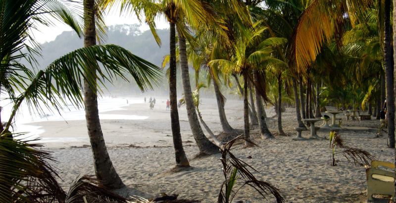 Un playa con palmeras en Carrillo (Costa Rica)